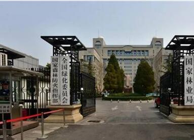 國家林草局將設立防火司 森林公安轉(zhuǎn)隸公安部職能不變